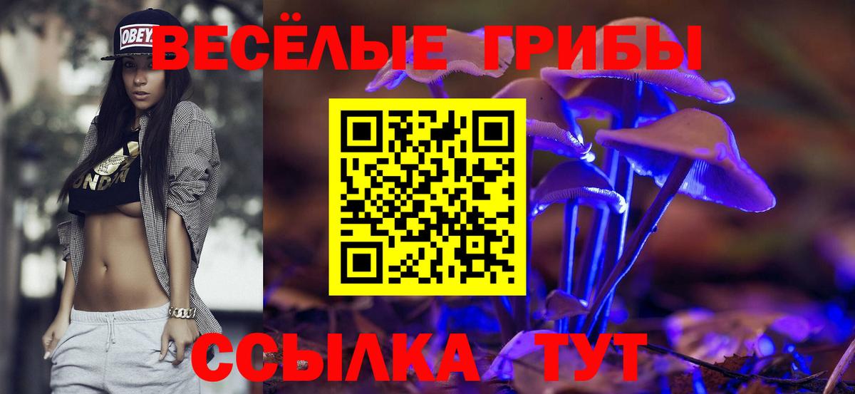 Галлюциногенные грибы Cubensis  Вход с VPN  Владивосток 