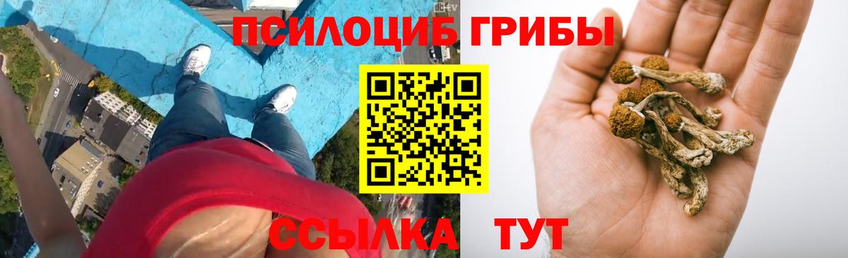 Галлюциногенные грибы мицелий Владивосток